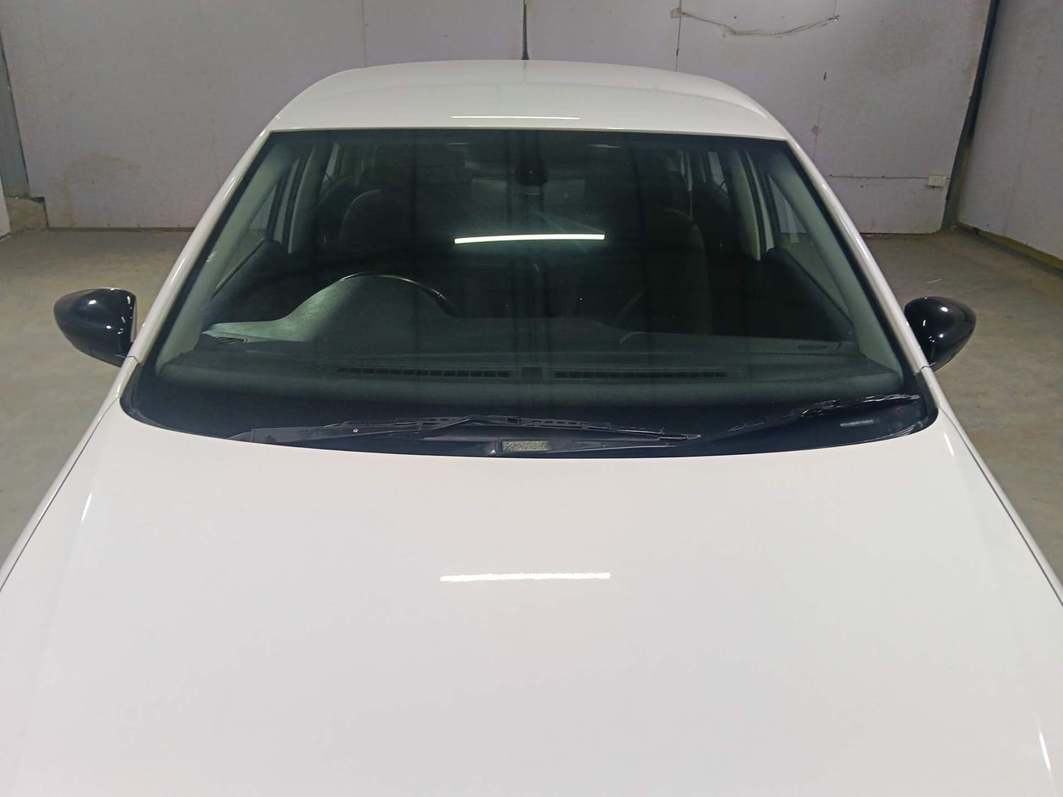 Polo image 9 Polo image 9