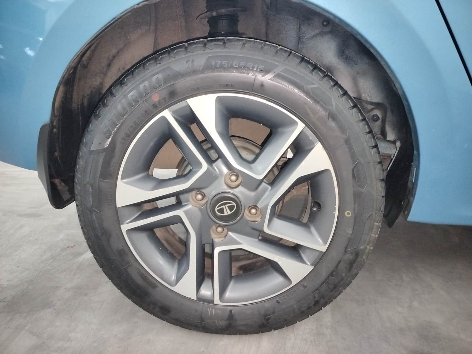 Tigor image 33 Tigor image 33