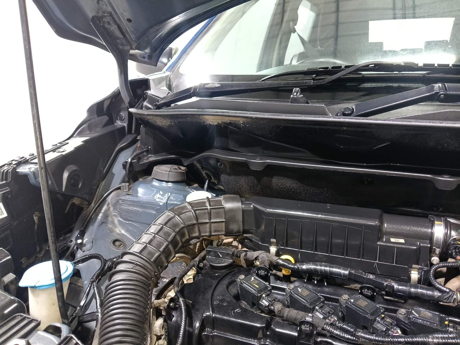 XL6 image 31 XL6 image 31