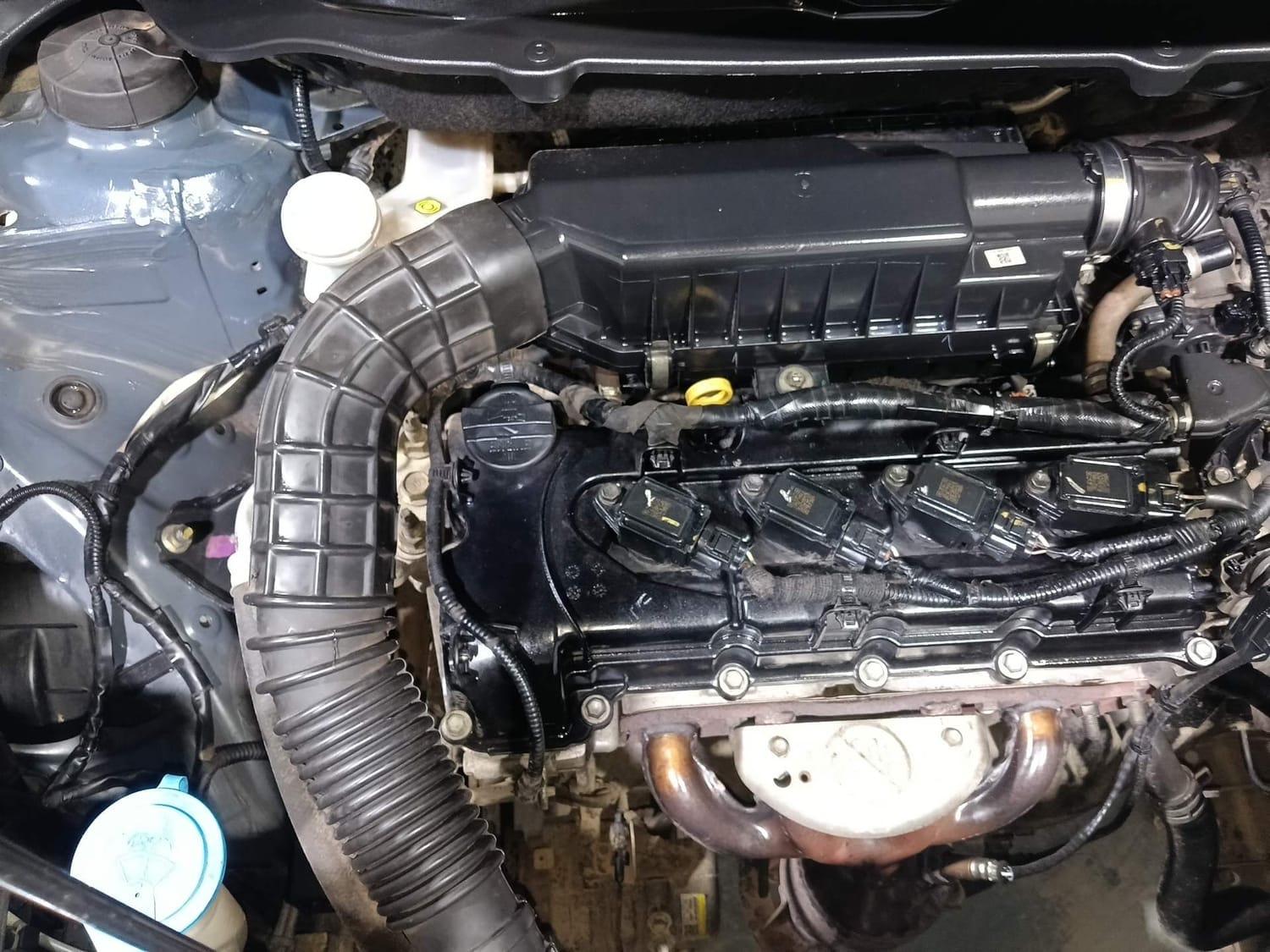 XL6 image 29 XL6 image 29