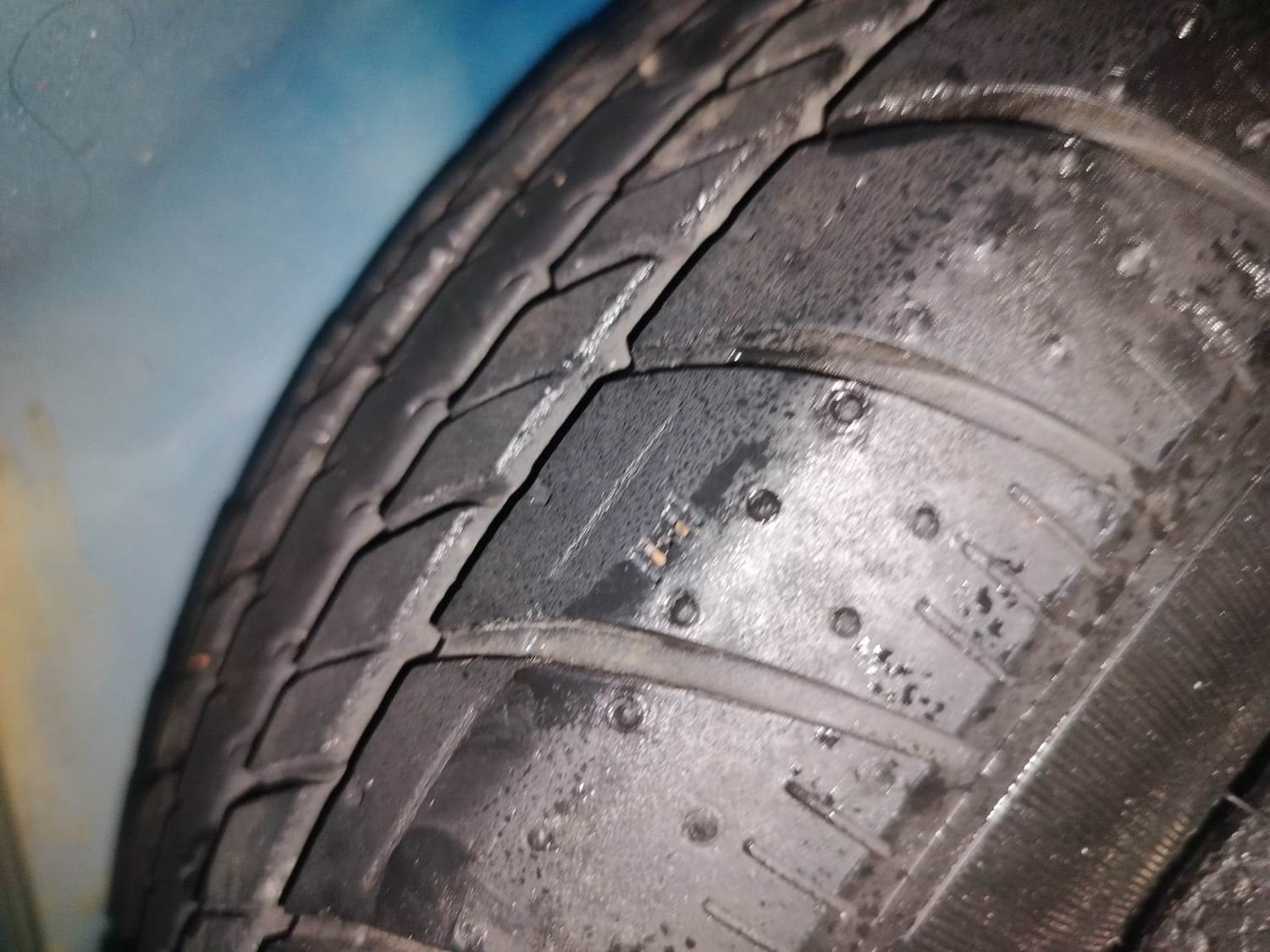 Celerio image 40 Celerio image 40