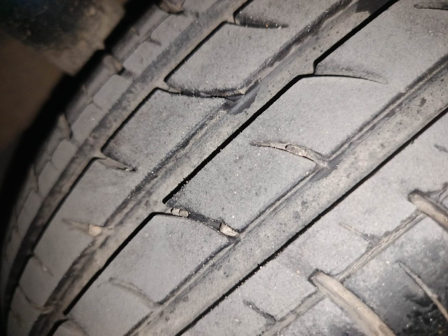 Celerio image 37 Celerio image 37