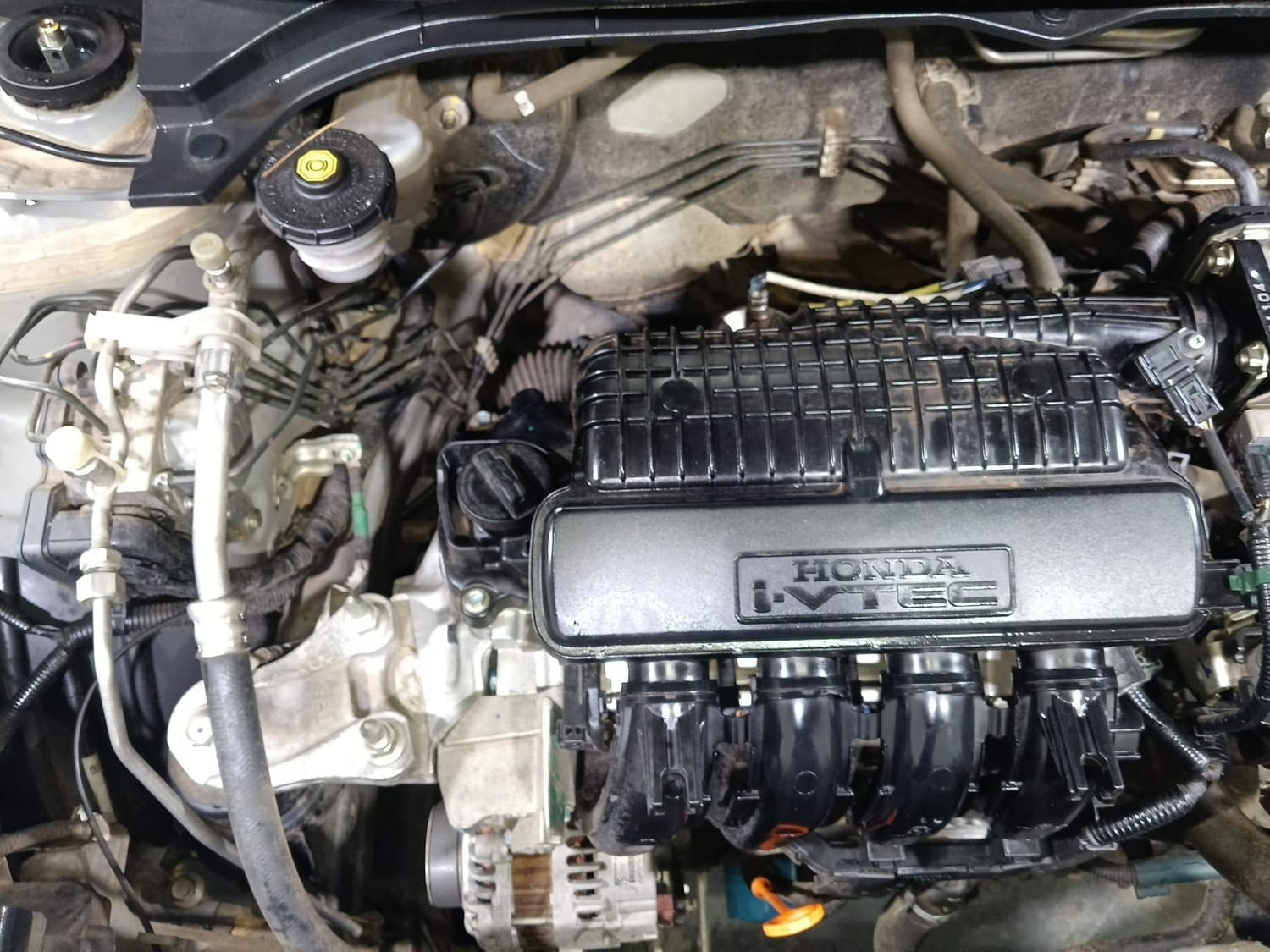 Amaze image 29 Amaze image 29