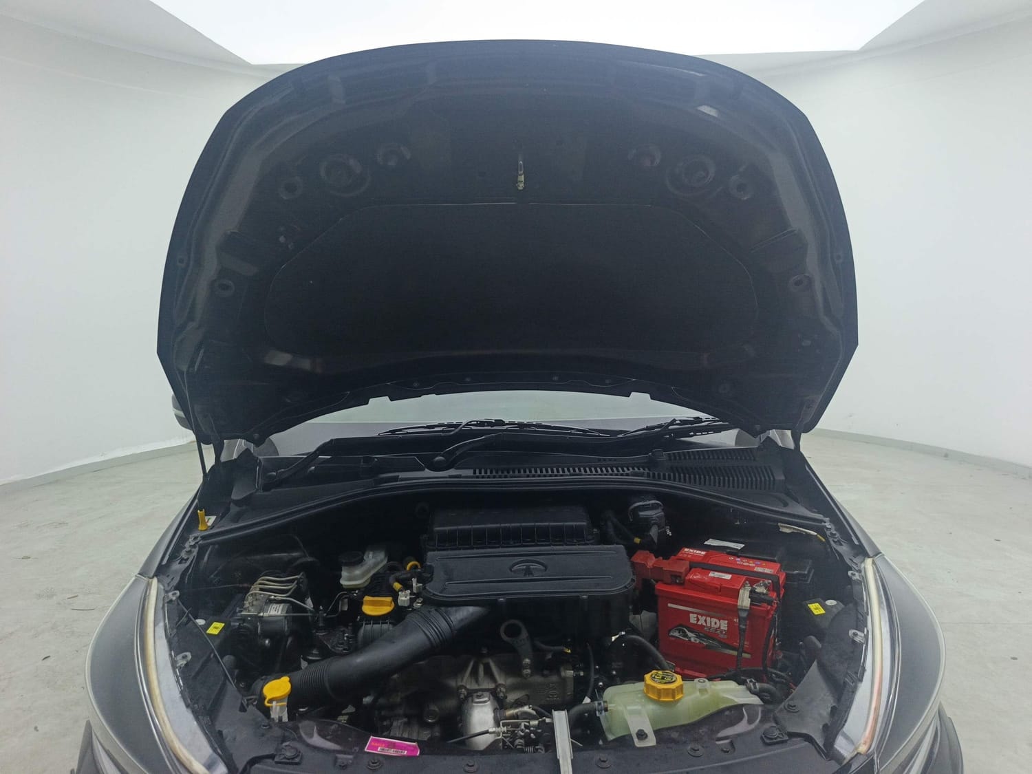 Tiago image 27 Tiago image 27