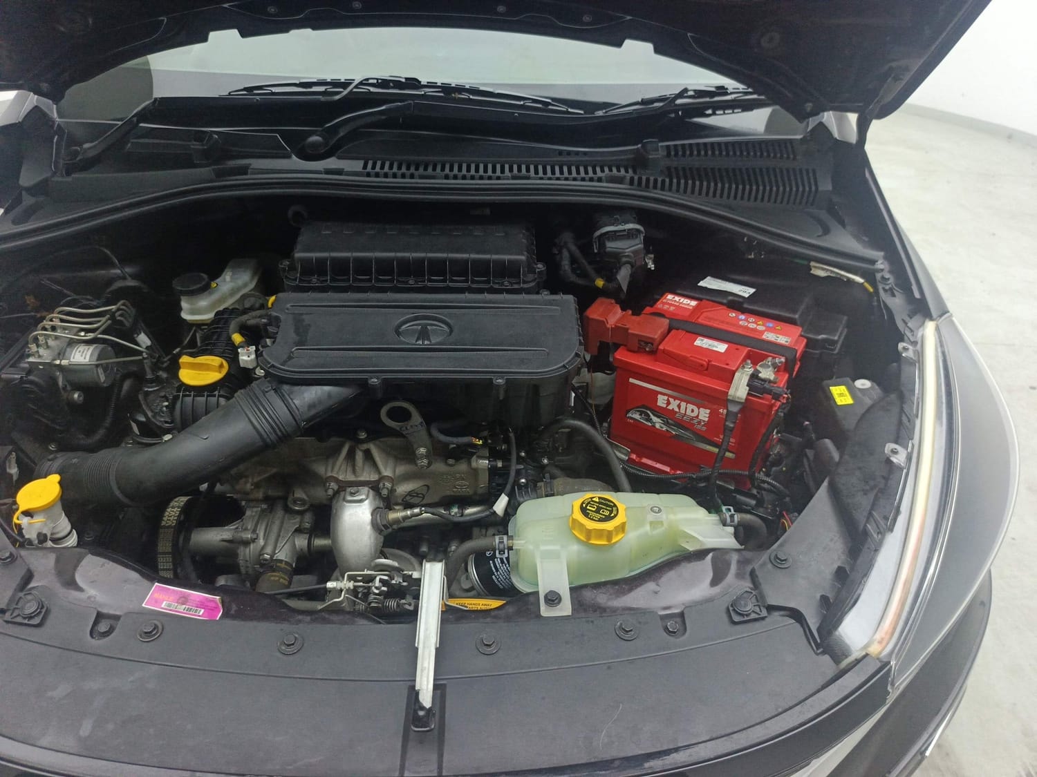 Tiago image 28 Tiago image 28