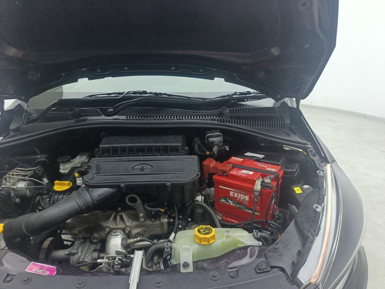 Tiago image 30 Tiago image 30