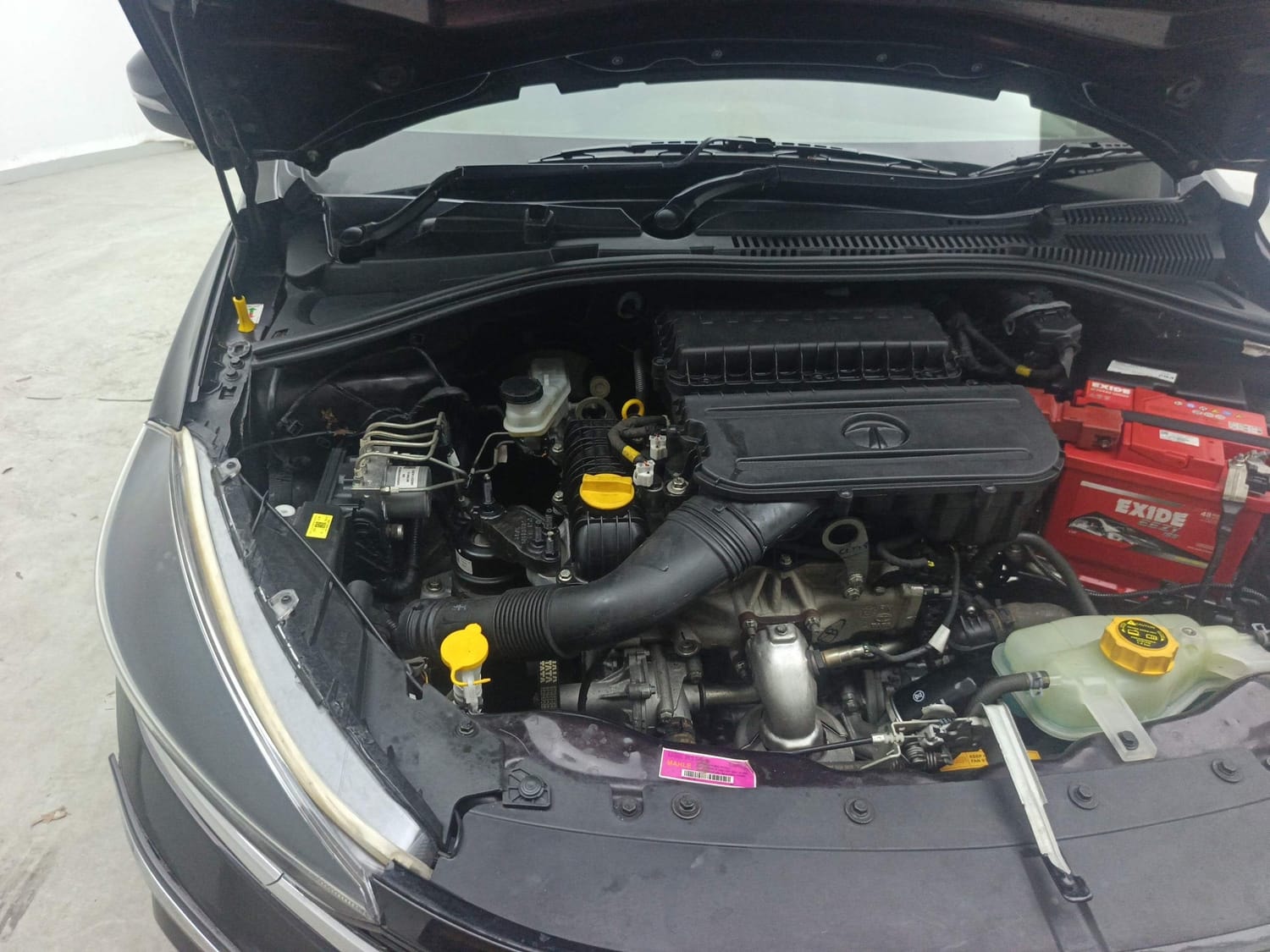 Tiago image 29 Tiago image 29