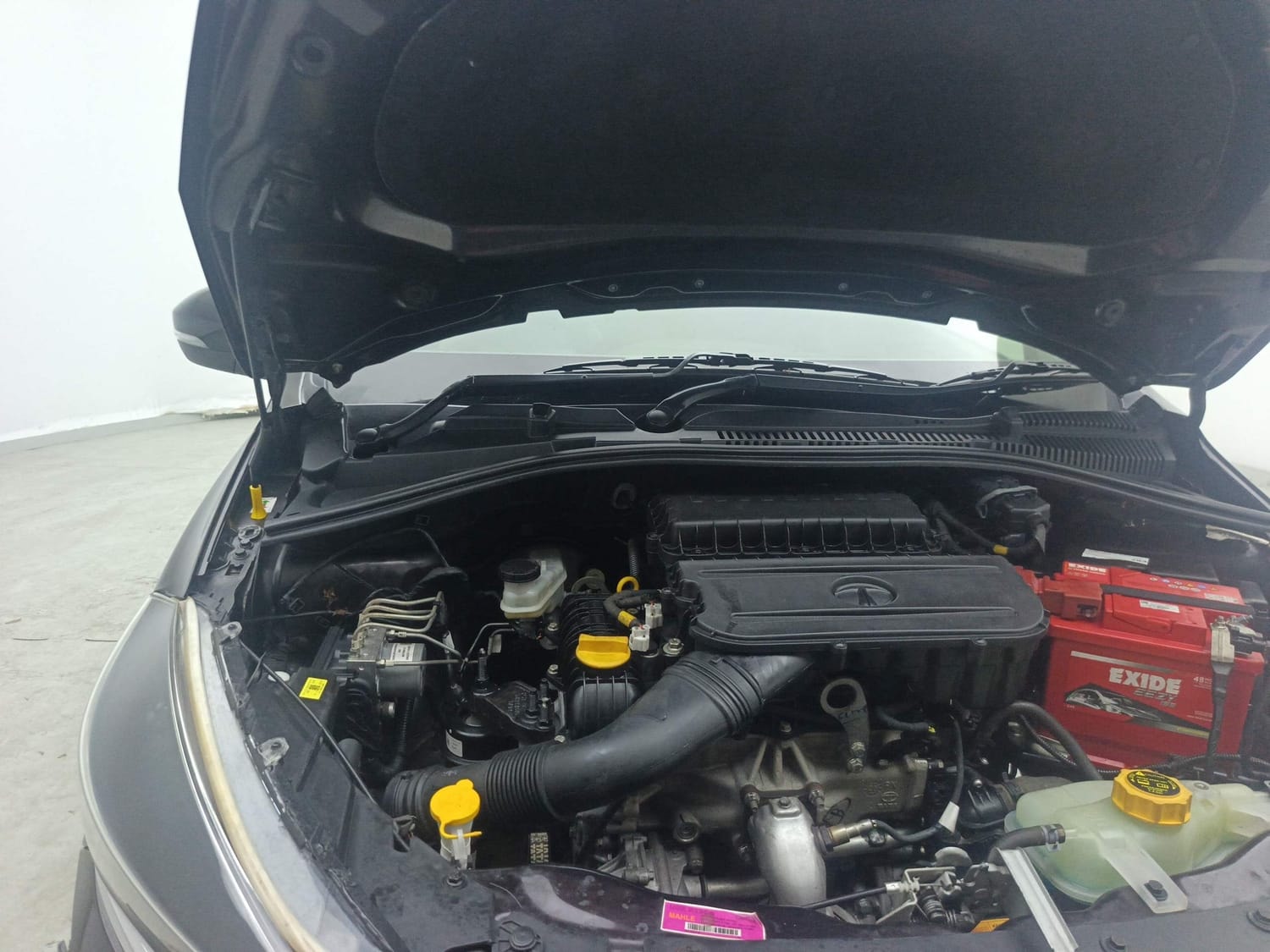 Tiago image 31 Tiago image 31