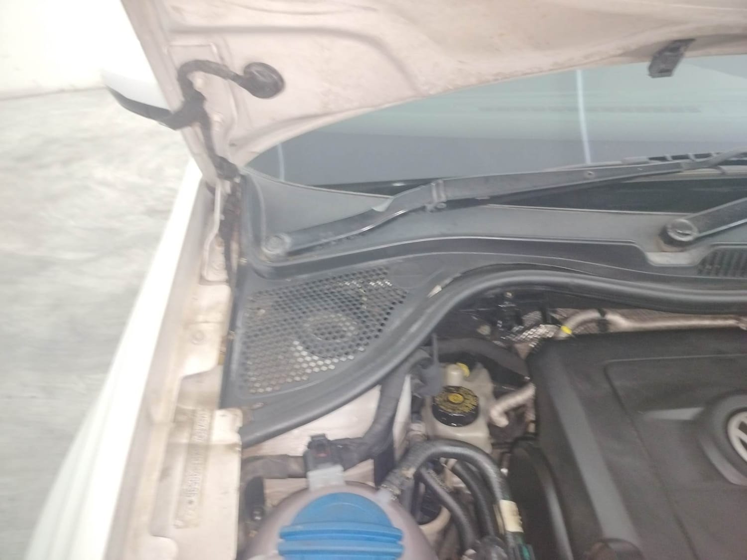 Polo image 31 Polo image 31