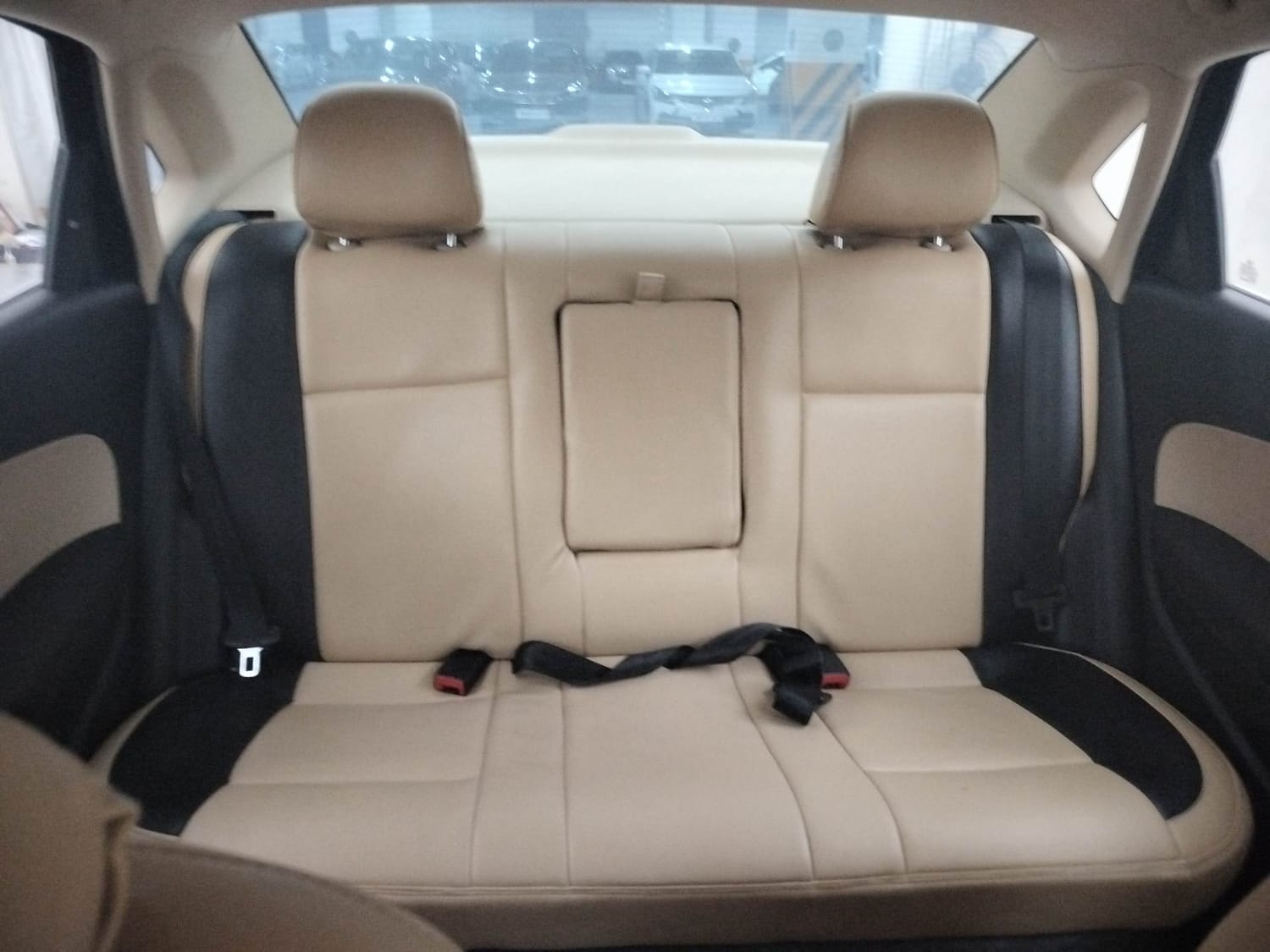 Rapid image 23 Rapid image 23