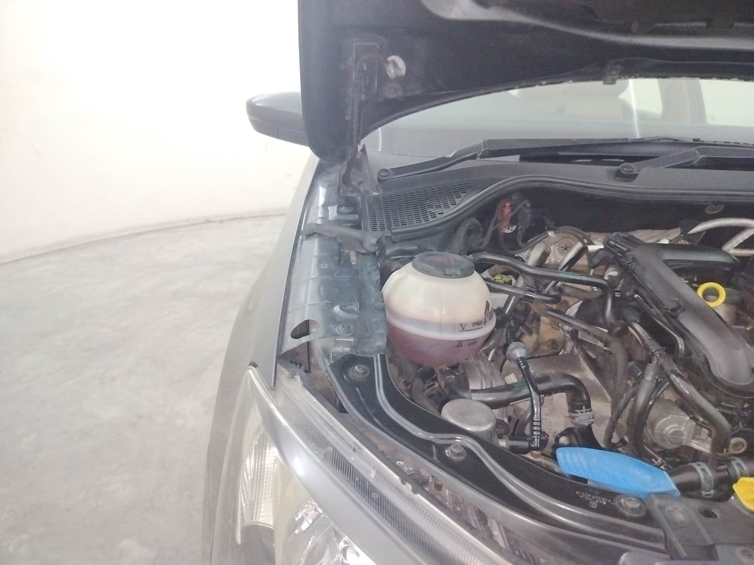 Rapid image 31 Rapid image 31