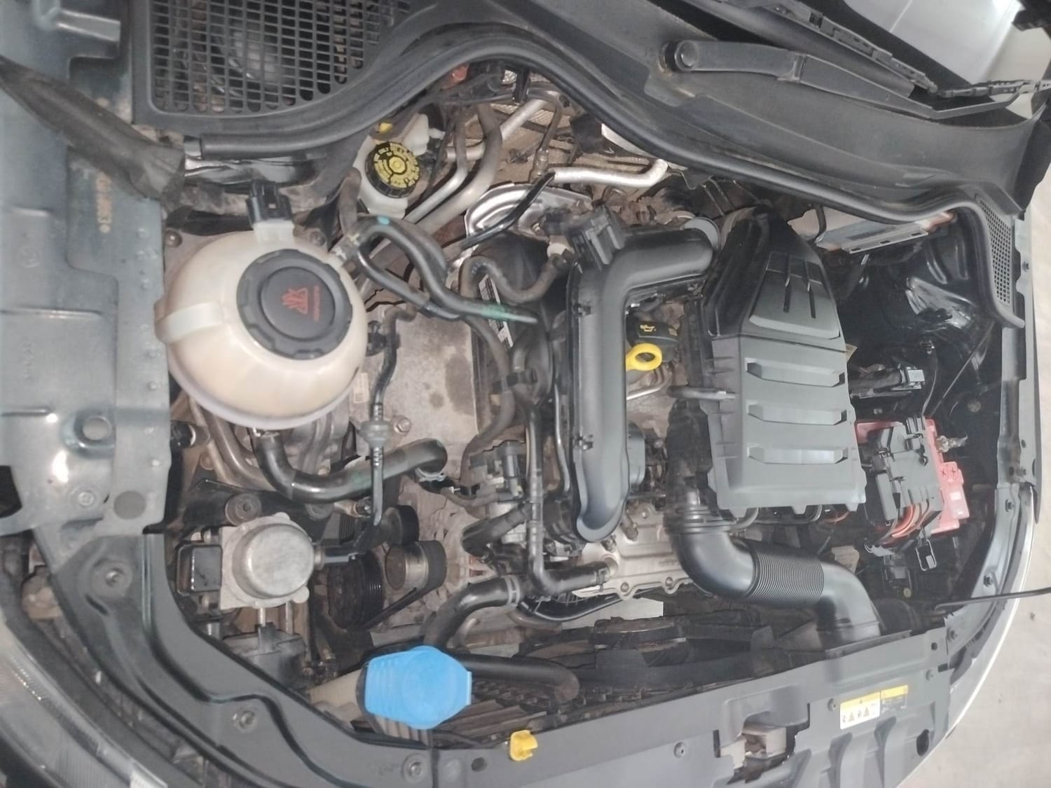 Rapid image 29 Rapid image 29