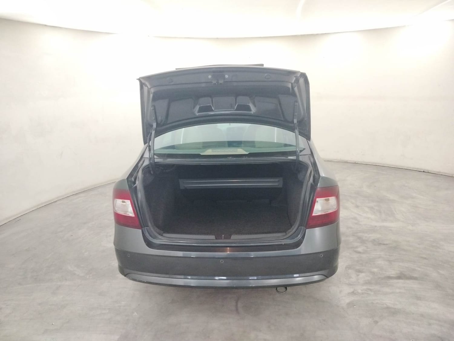 Rapid image 24 Rapid image 24