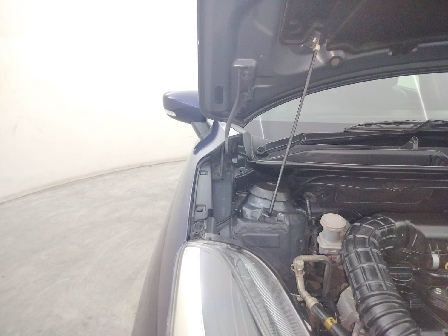 Glanza image 31 Glanza image 31