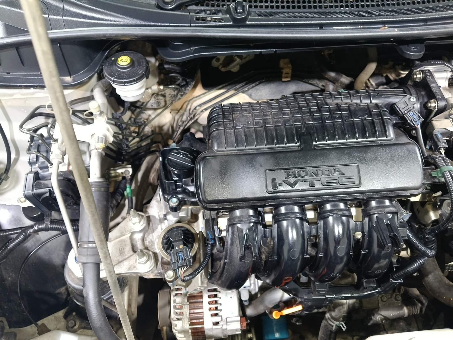 City image 29 City image 29