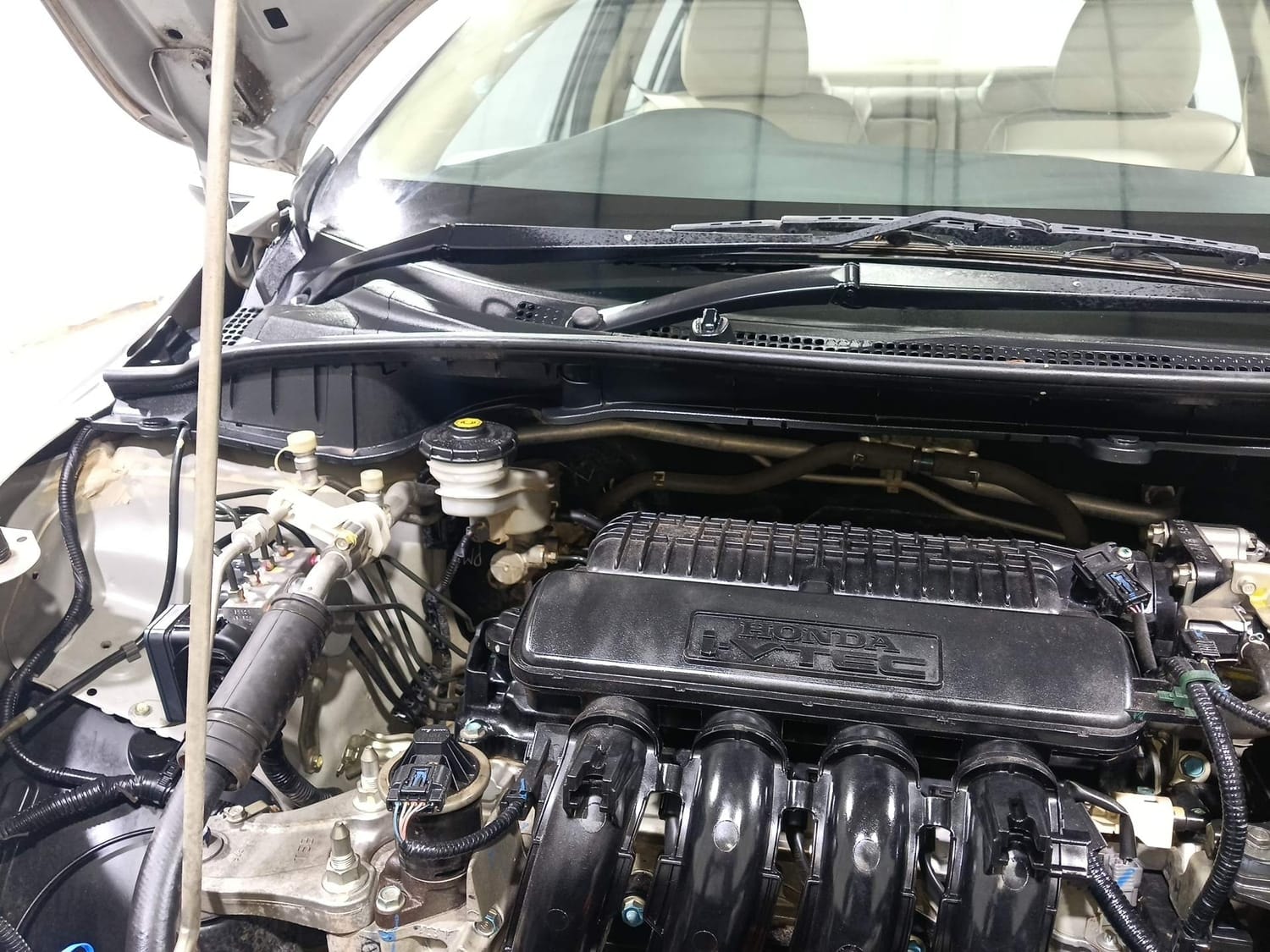 City image 31 City image 31