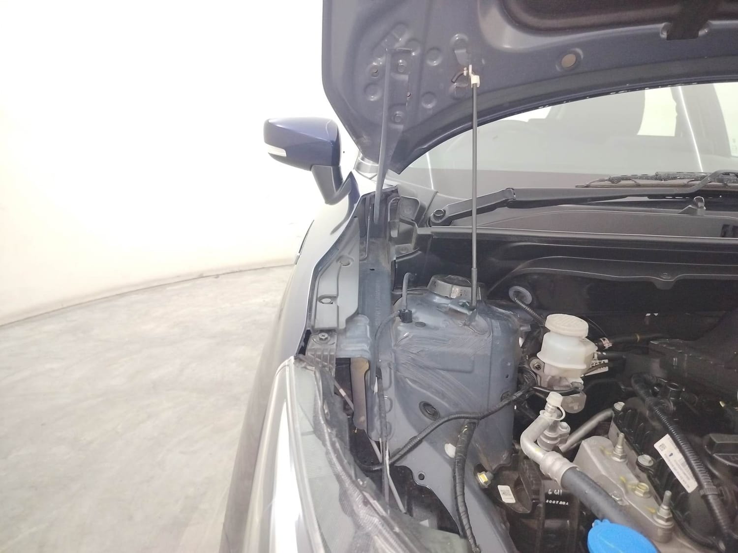 Glanza image 31 Glanza image 31