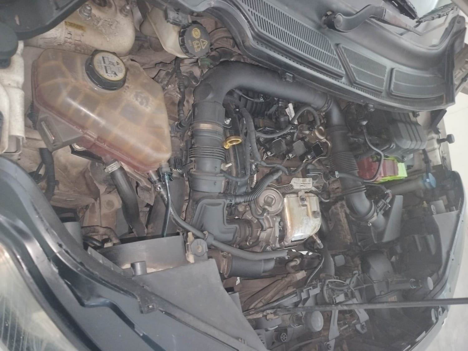 EcoSport image 29 EcoSport image 29