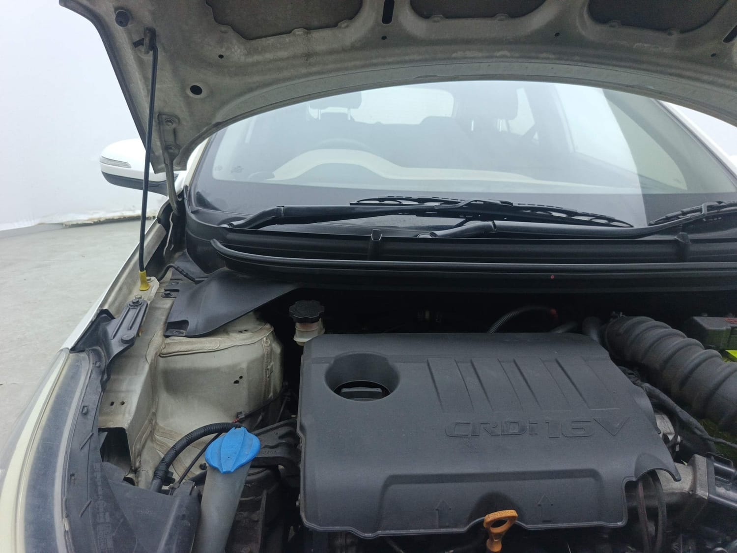 Elite i20 image 31 Elite i20 image 31