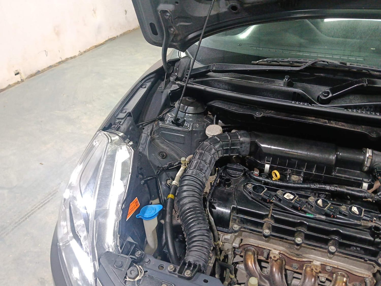 Baleno image 31 Baleno image 31