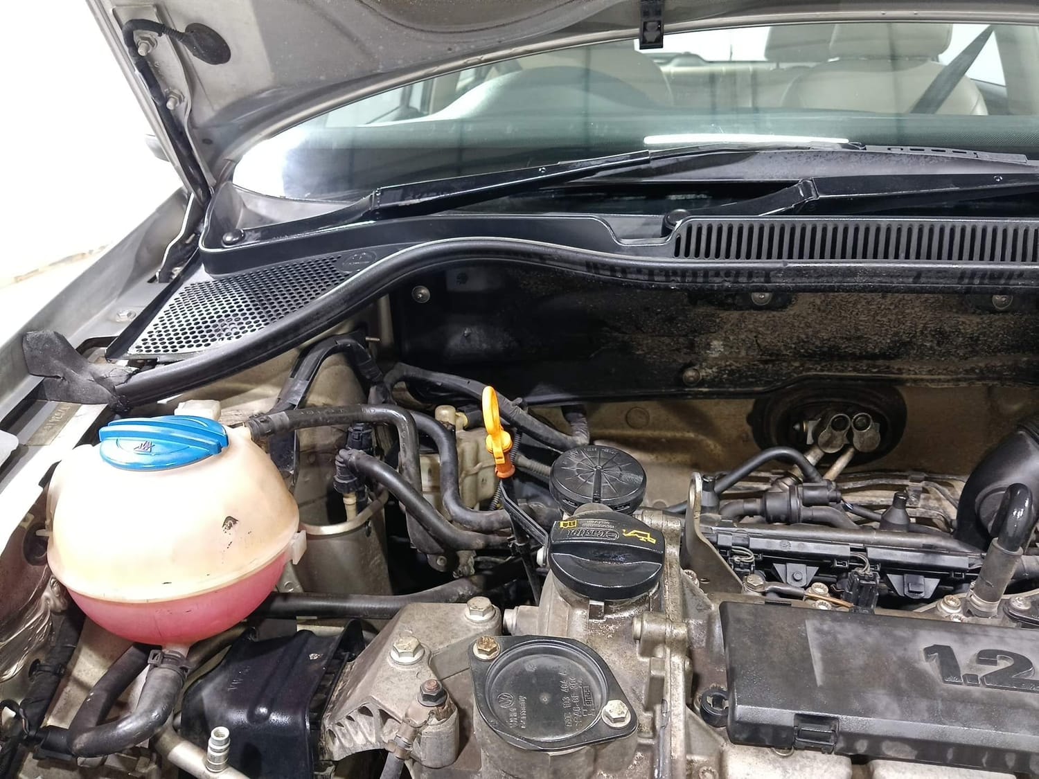 Polo image 31 Polo image 31