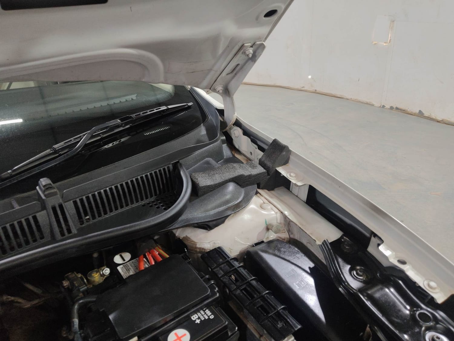 Virtus image 30 Virtus image 30