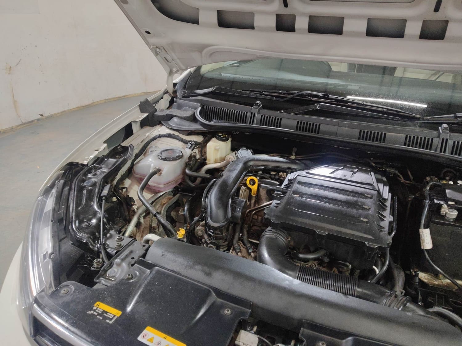 Virtus image 29 Virtus image 29