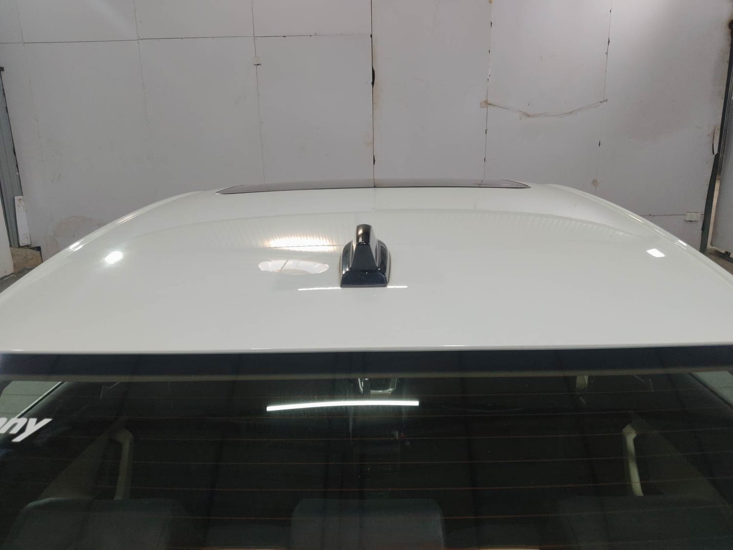 Virtus image 11 Virtus image 11