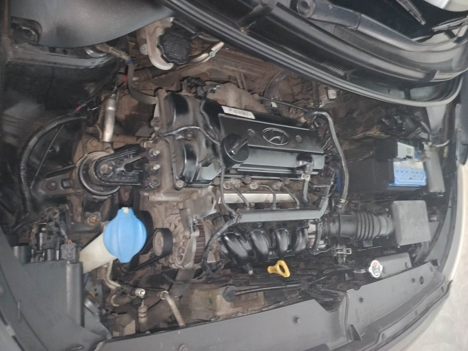 Elite i20 image 29 Elite i20 image 29