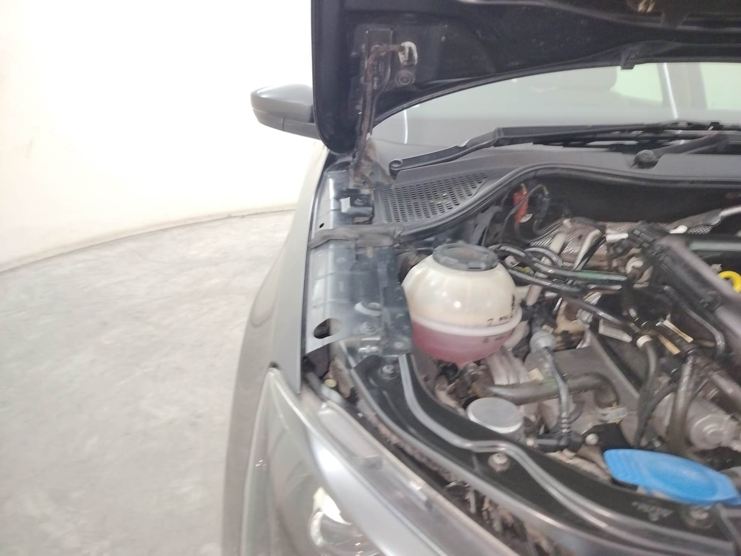 Rapid image 31 Rapid image 31