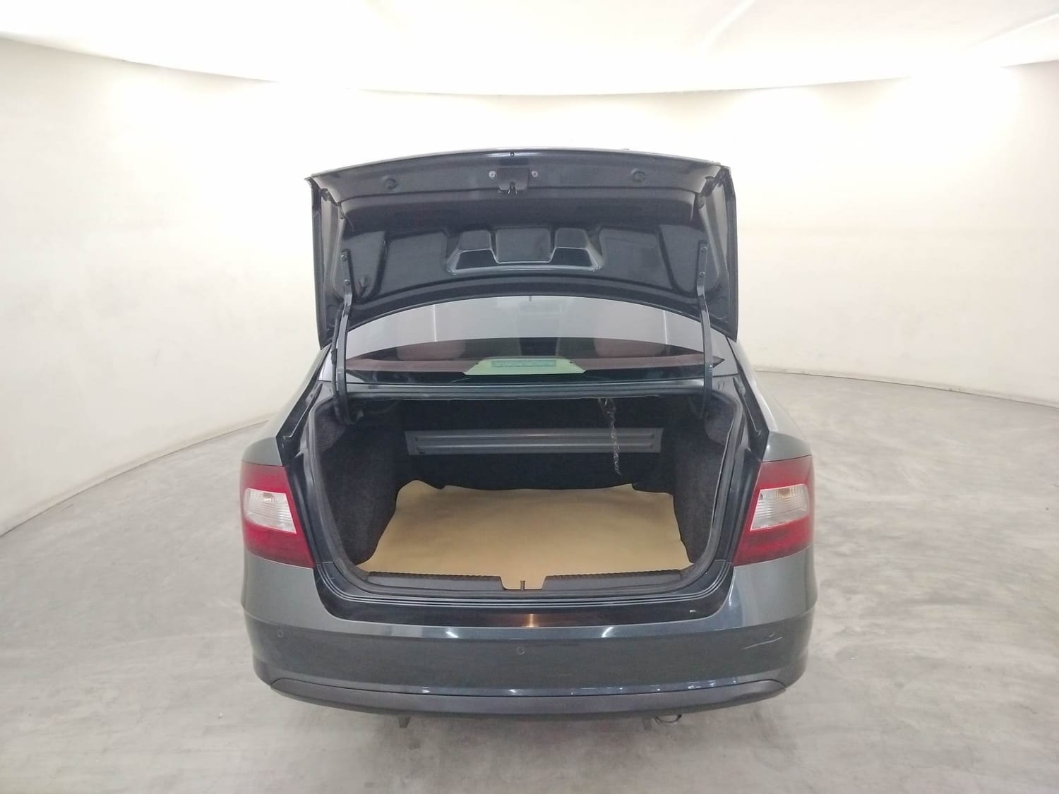 Rapid image 24 Rapid image 24