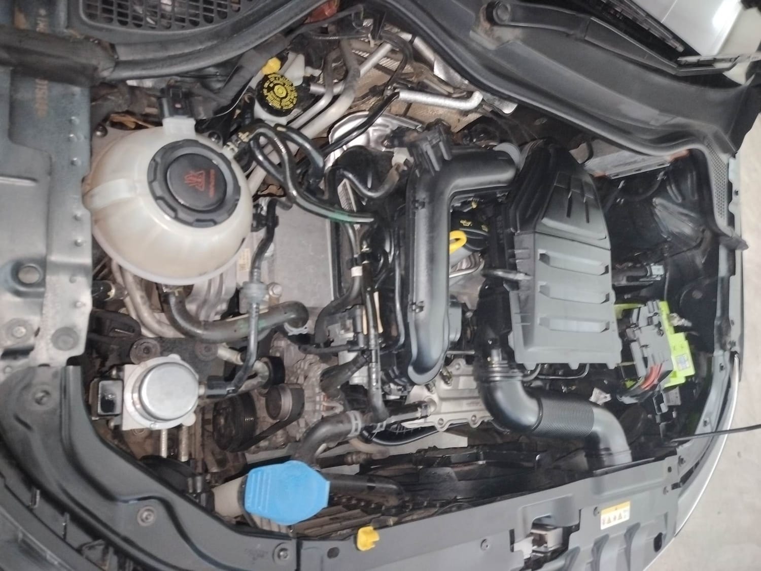 Rapid image 29 Rapid image 29