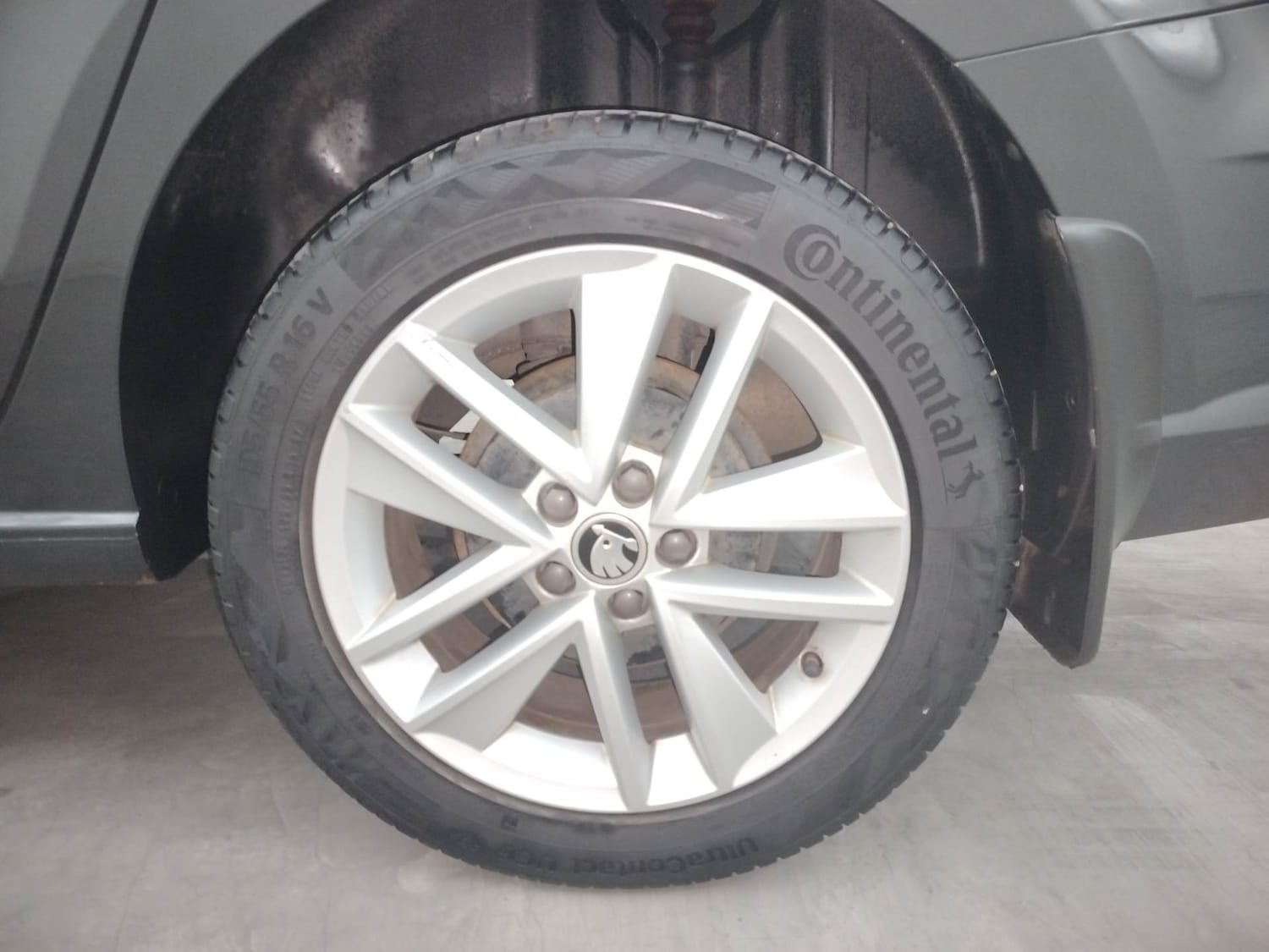 Rapid image 35 Rapid image 35