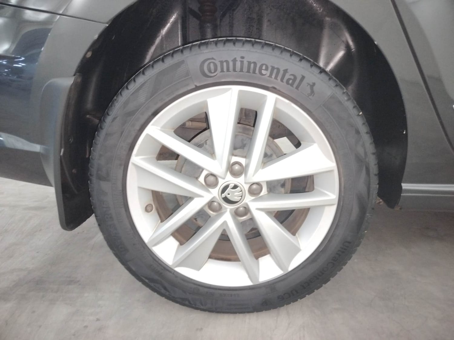 Rapid image 33 Rapid image 33