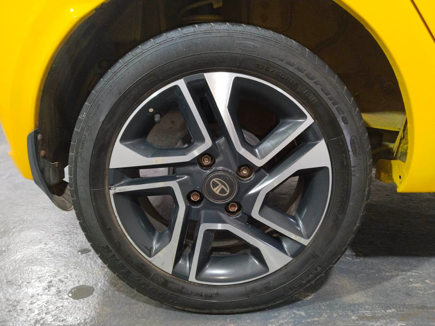 Tiago image 33 Tiago image 33