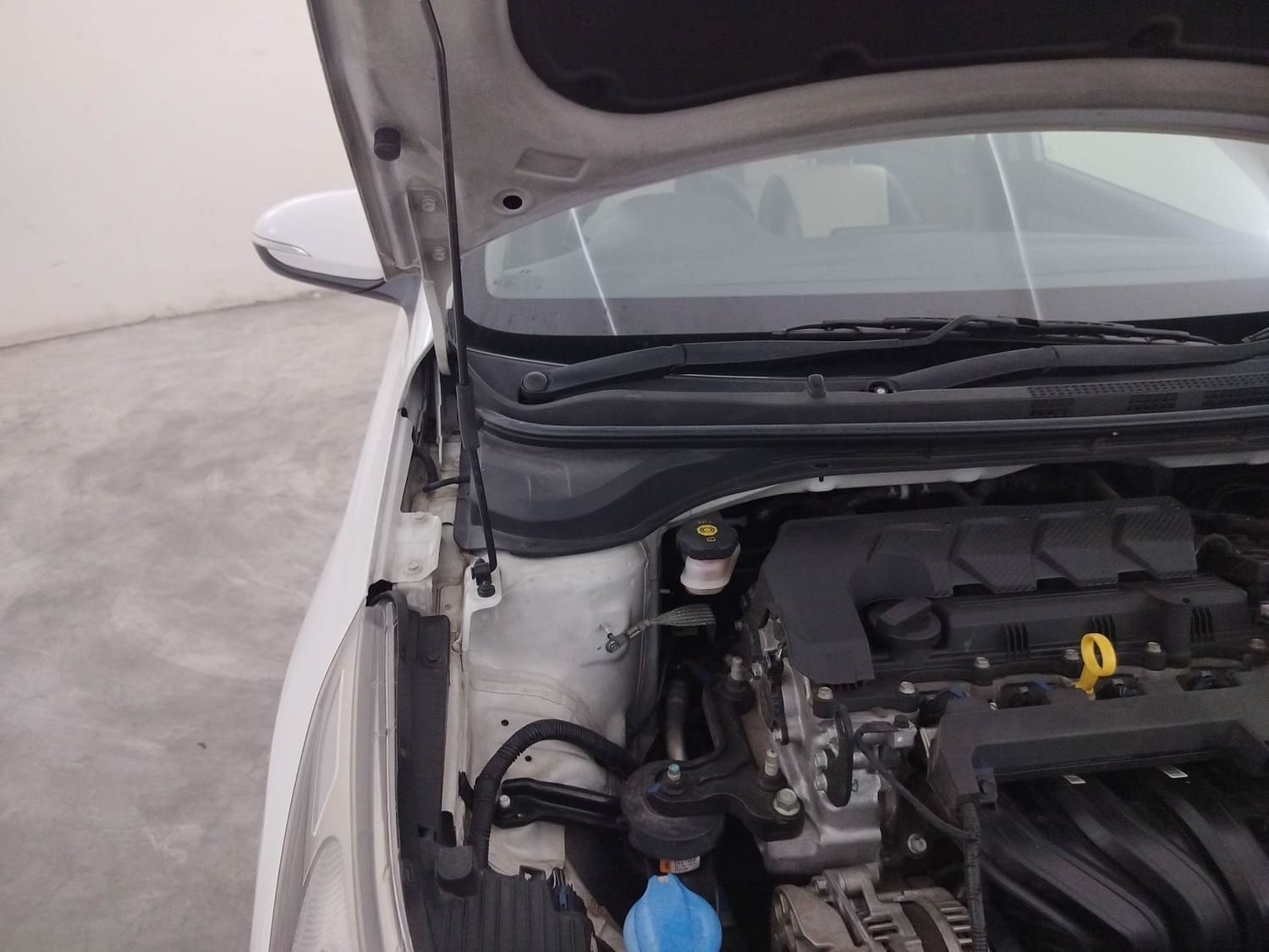 Verna image 31 Verna image 31