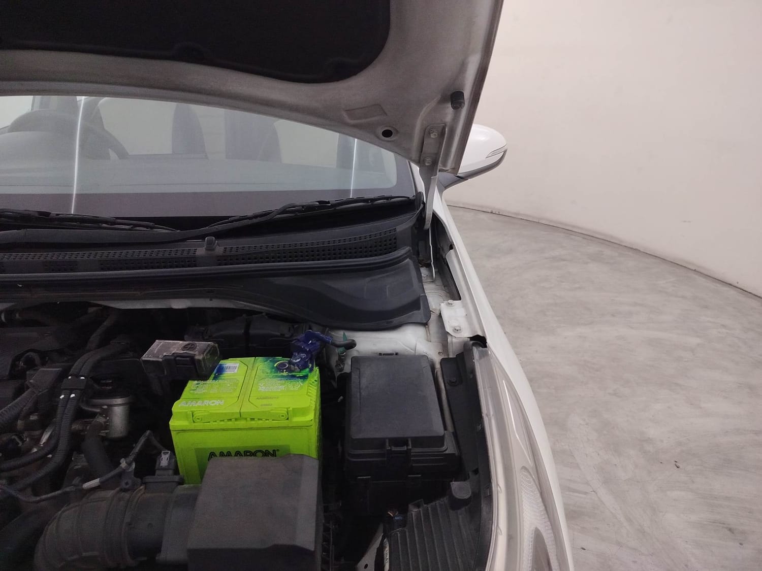 Verna image 30 Verna image 30