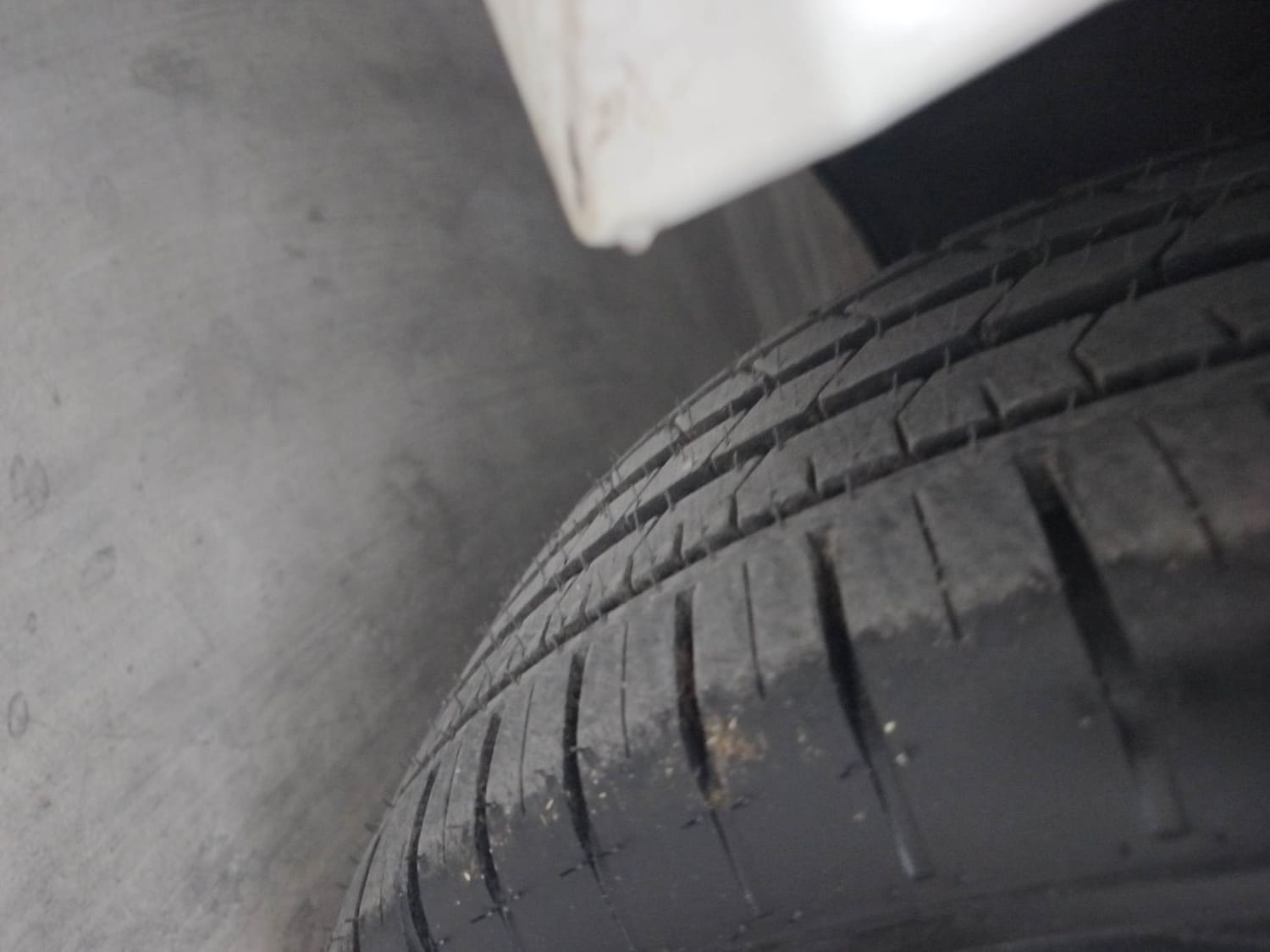 Verna image 38 Verna image 38