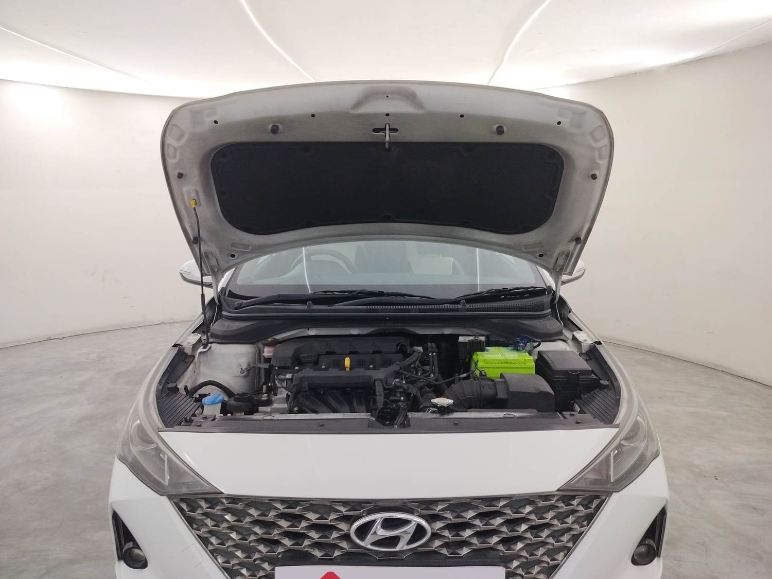 Verna image 27 Verna image 27