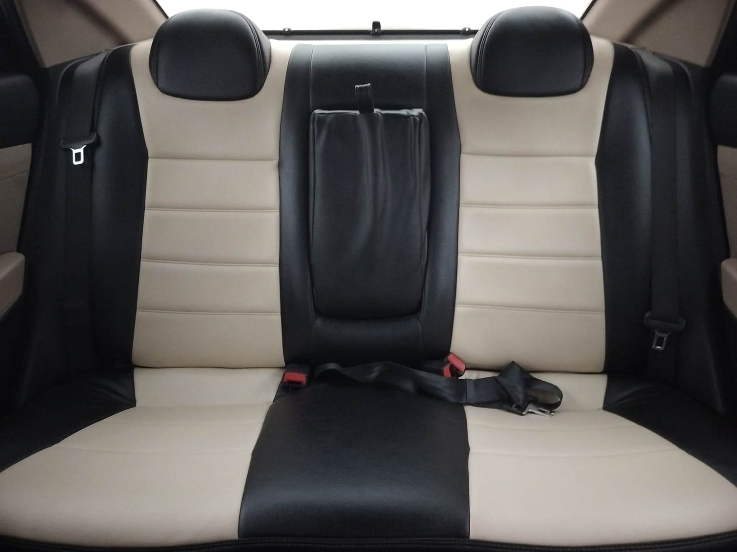 Verna image 23 Verna image 23