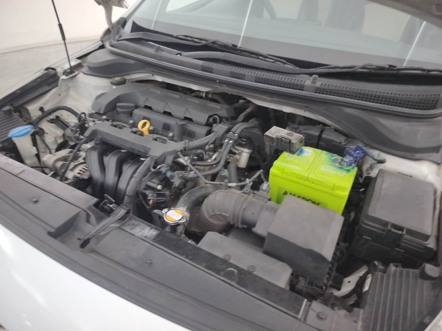 Verna image 28 Verna image 28