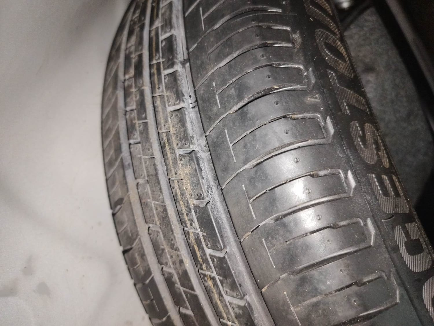 Verna image 40 Verna image 40