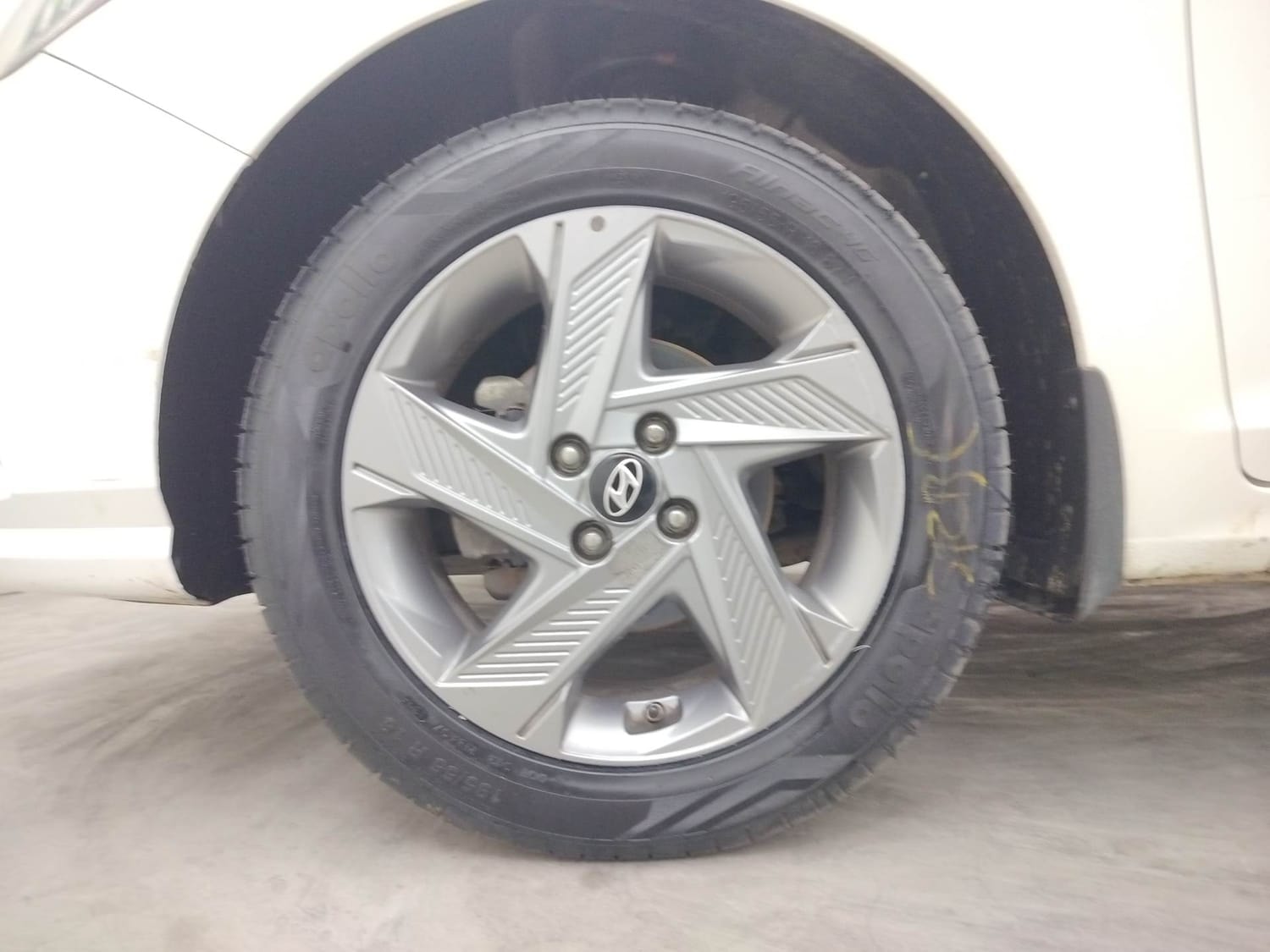 Verna image 34 Verna image 34