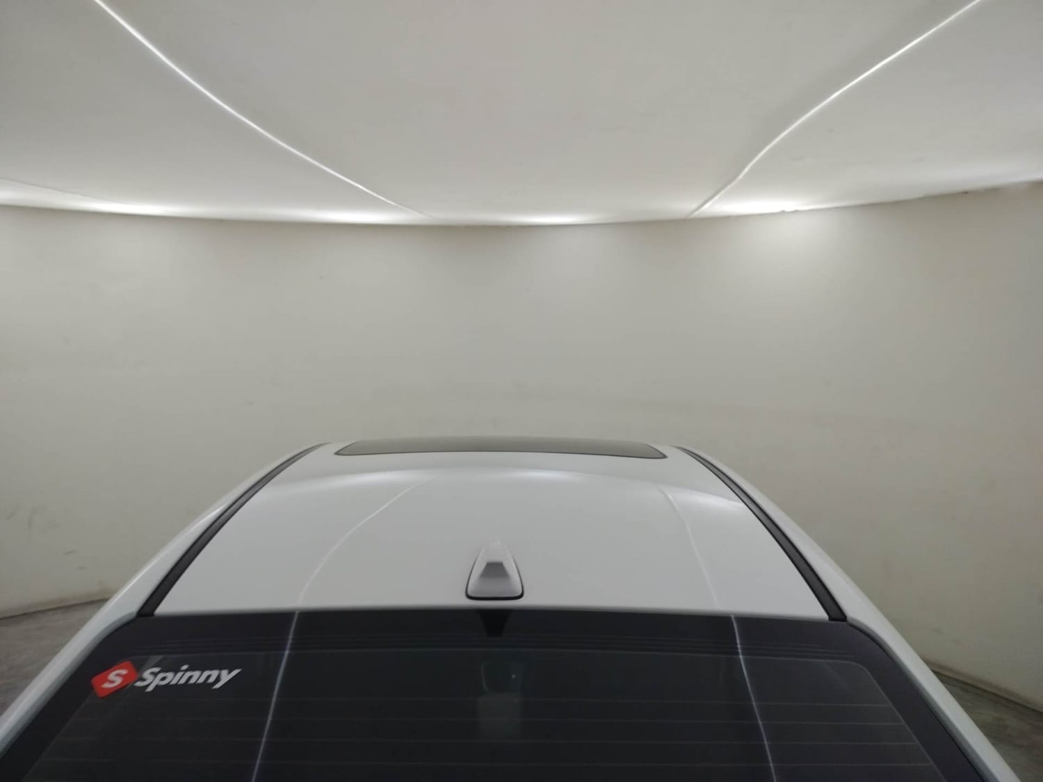 Verna image 11 Verna image 11