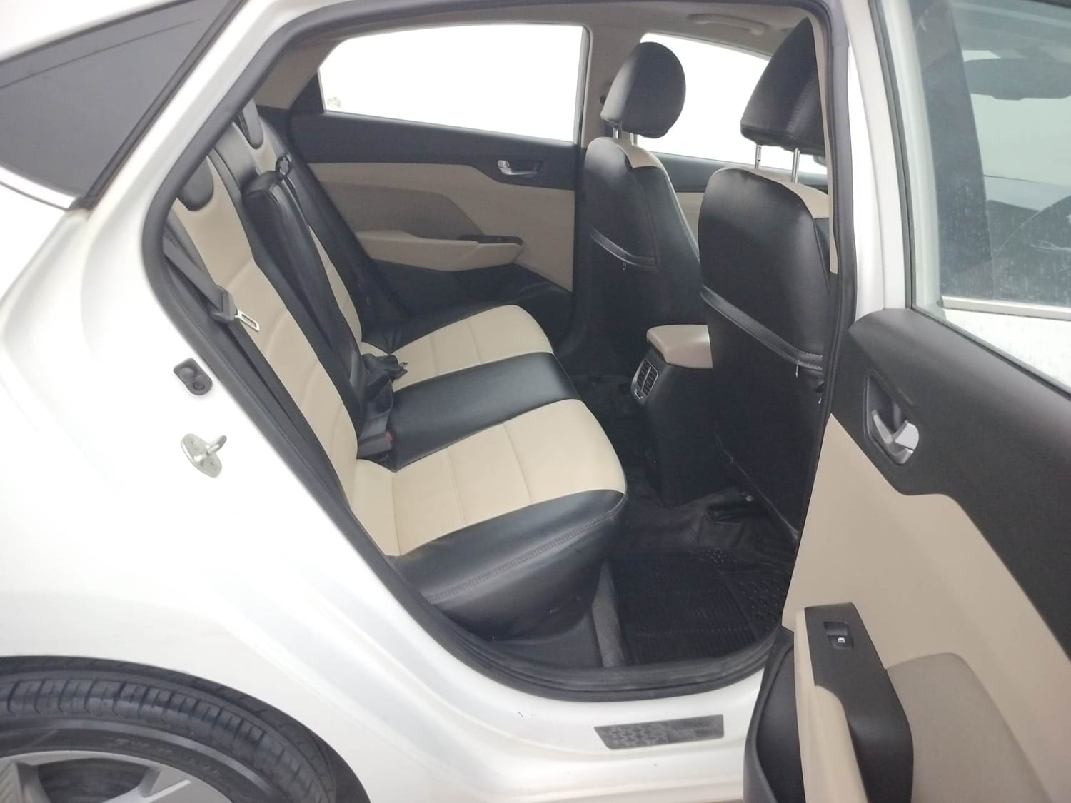 Verna image 18 Verna image 18