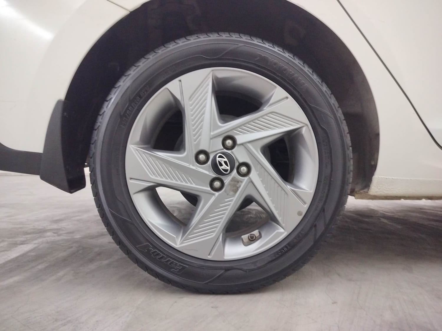 Verna image 33 Verna image 33