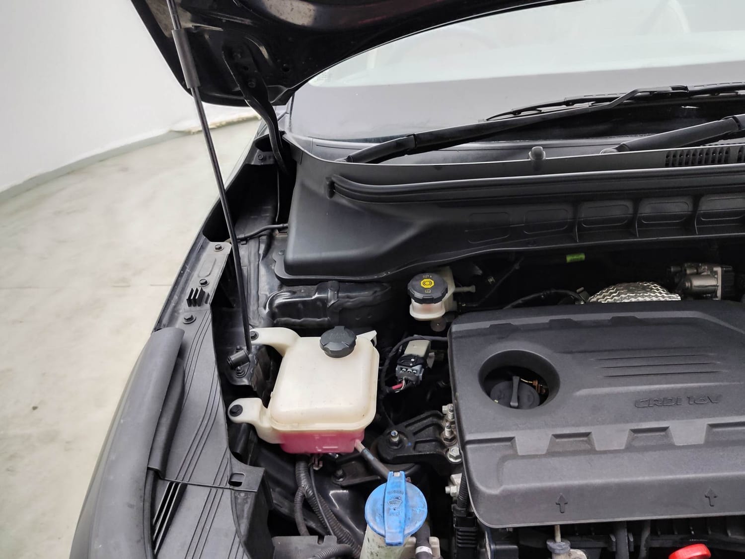 Carens image 31 Carens image 31