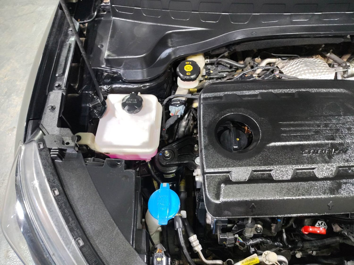 Sonet image 29 Sonet image 29