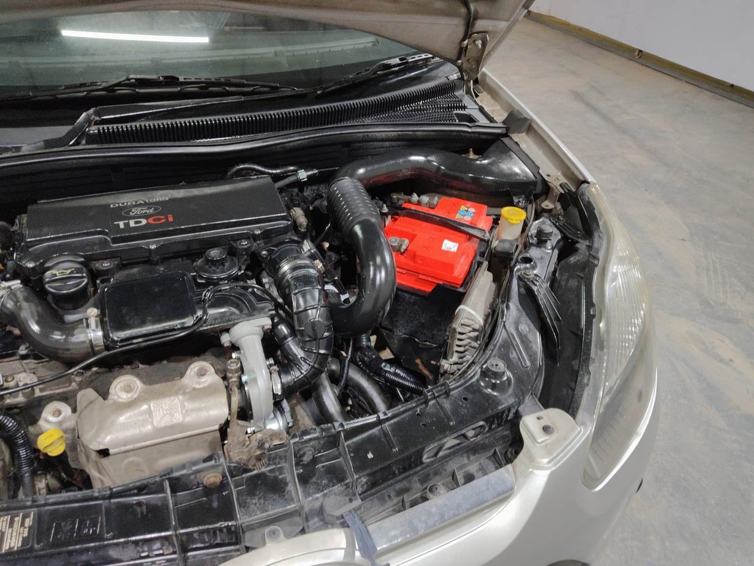 Figo image 28 Figo image 28