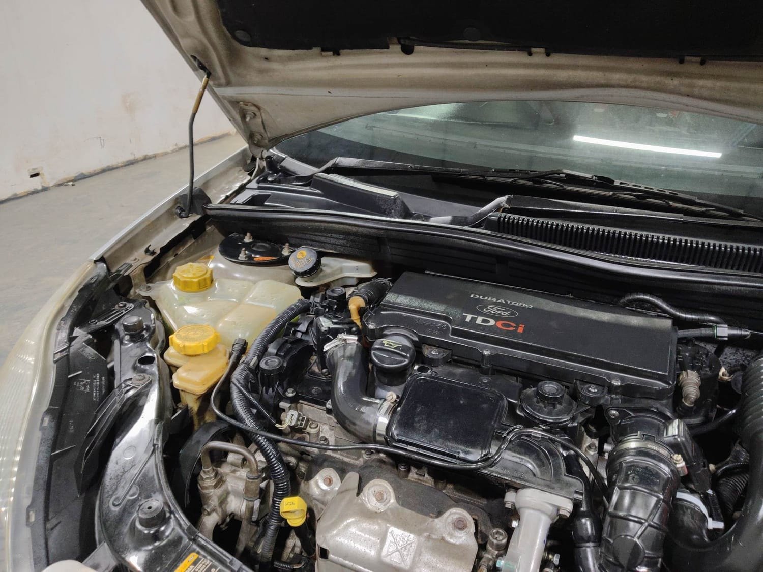 Figo image 29 Figo image 29